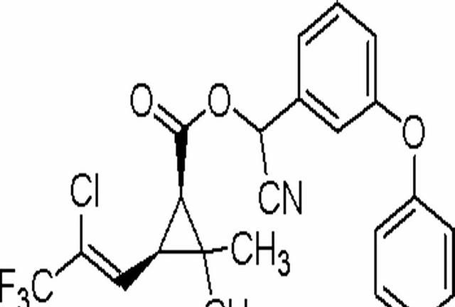 氯氰菊酯和高效氯氰菊酯有什么区别图2