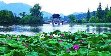 咏西湖的10首绝美诗词，烟柳画桥，风帘翠幕，疏影横斜，暗香浮动