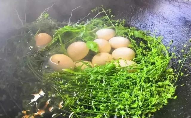 三月三上巳节，别忘用这菜煮鸡蛋，人称“赛灵丹”，多吃少生病