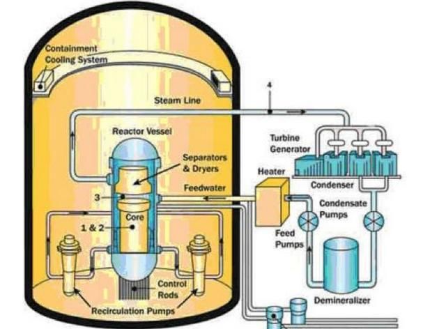 s9g压水型反应堆图1