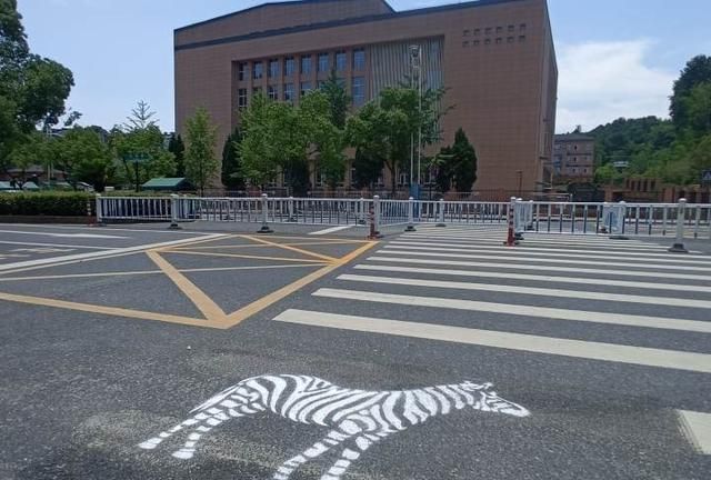 杭州有斑马的“斑马线”出圈，最新消息：考虑在余杭中小学和幼儿园外的斑马线推广