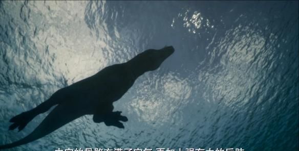 豆瓣9.5！BBC做出了二十年来最棒的恐龙纪录片