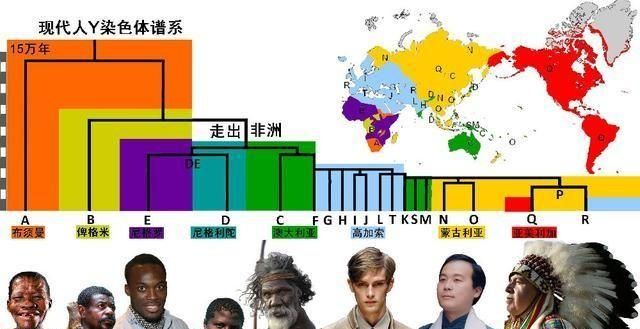 世界上有哪些主要人种图1