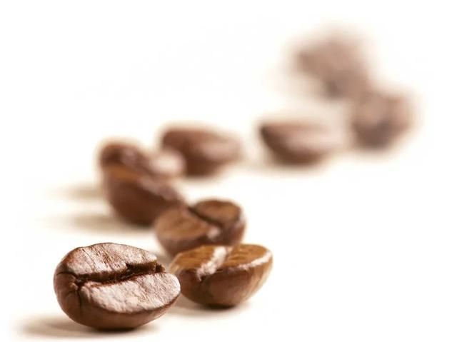 咖啡豆是怎么长出来的,咖啡豆是什么东西长出来的图2