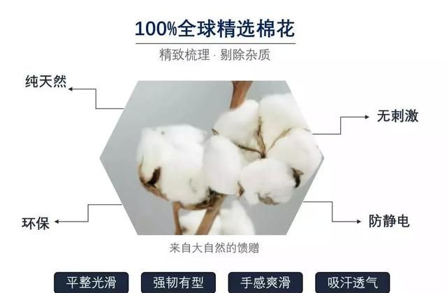 经典T恤，世界大牌制造商 100%精选棉 GMC
