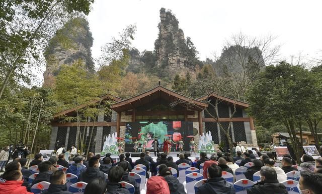青山不改，绿水长流——中国第一个国家森林公园庆祝建园40周年