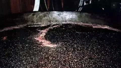 葡萄酒的酿造过程
