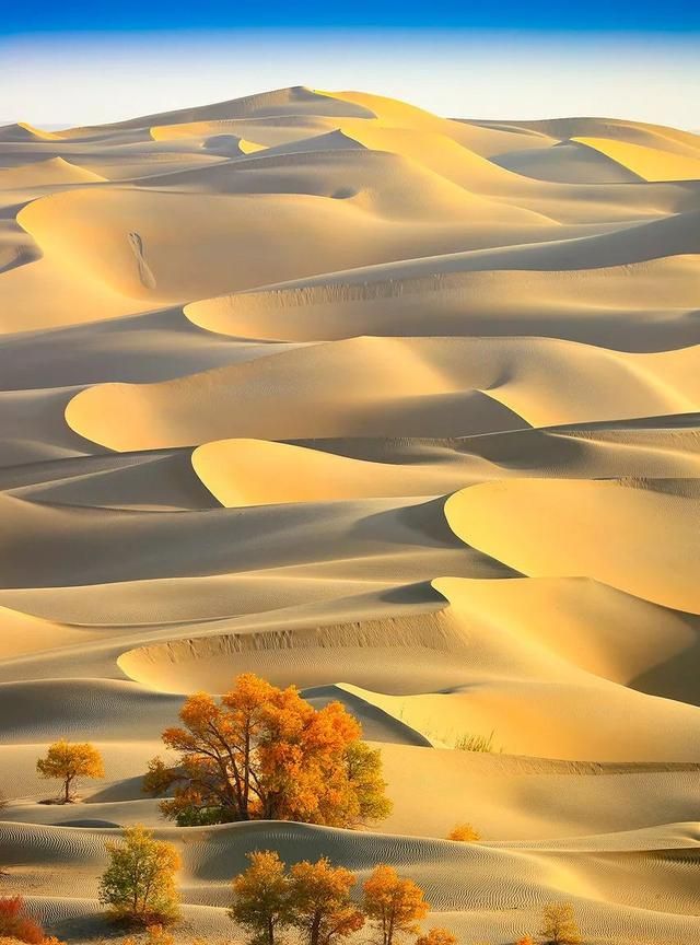 中国最大的沙漠，才不是“死亡之海”！