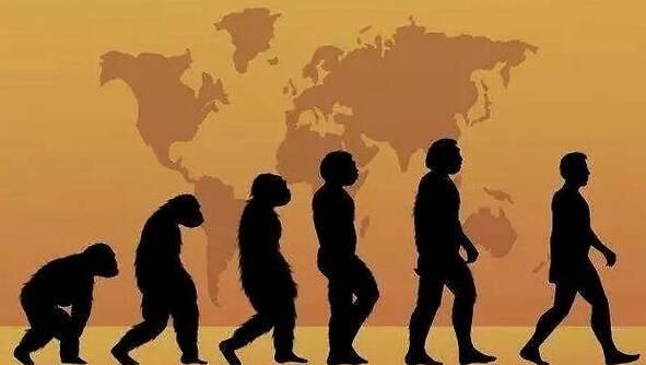 人类有23对染色体而黑猩猩有24对，为什么我们有共同的祖先？
