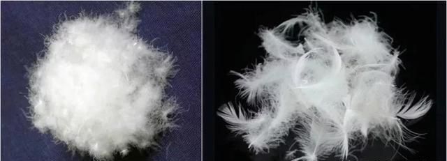 专业知识：鸭绒服VS鹅绒服，哪个更好？充绒量越多越暖和吗？