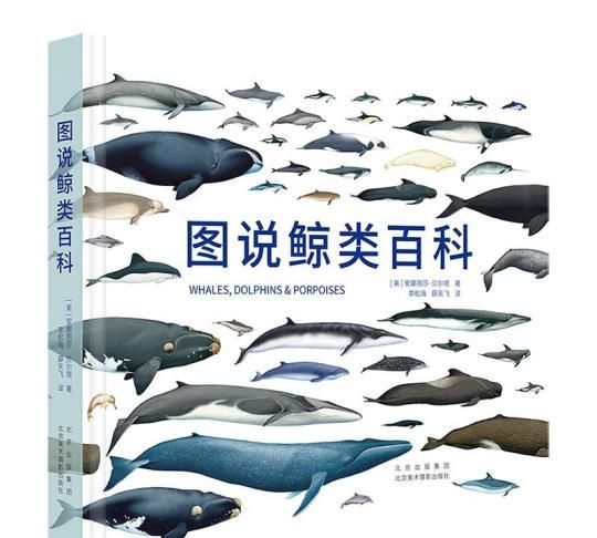 《图说鲸类百科》：遨游壮丽的鲸鱼世界