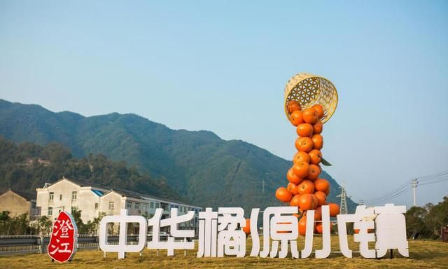浙江黄岩：一年好景蜜橘熟