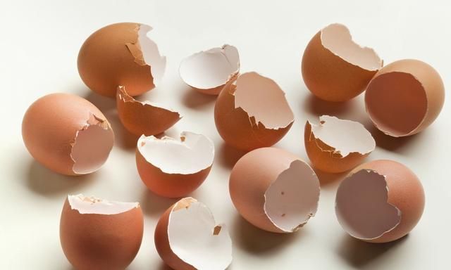 鸡蛋壳主要成分是钙，可以吃壳来补钙吗？听听营养师的分析