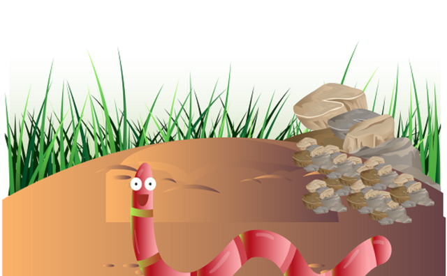 小蚯蚓大作用，蚯蚓对农业竟有这么大帮助！