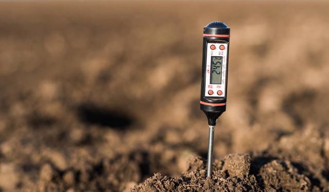 土壤“酸碱度”是导致作物减产的致命因素！如何判断土壤酸碱度？