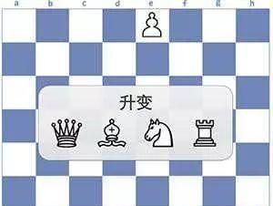 如何快速学会国际象棋？超详细国际象棋入门秘籍赶紧收藏