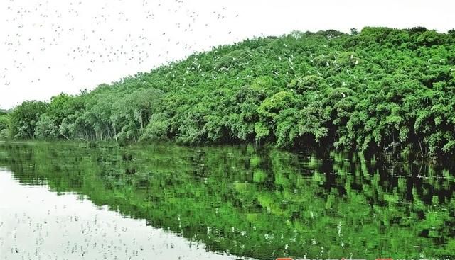 「玉林这十年」玉林生态文明：青山绿水共为邻