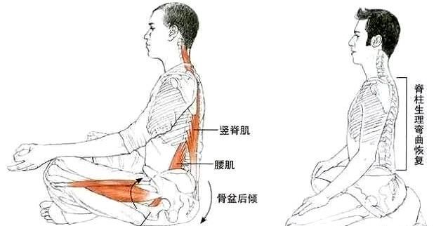 打坐的正确姿势——坐姿，基本功扎实，快速体验静态健身