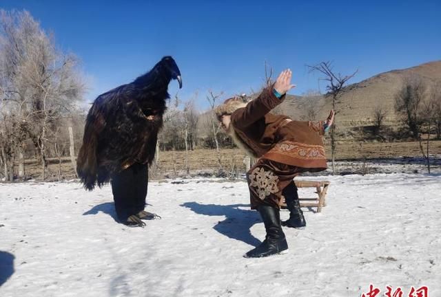 新疆哈萨克族鹰舞 藏着怎样的人与自然和谐相处之道？
