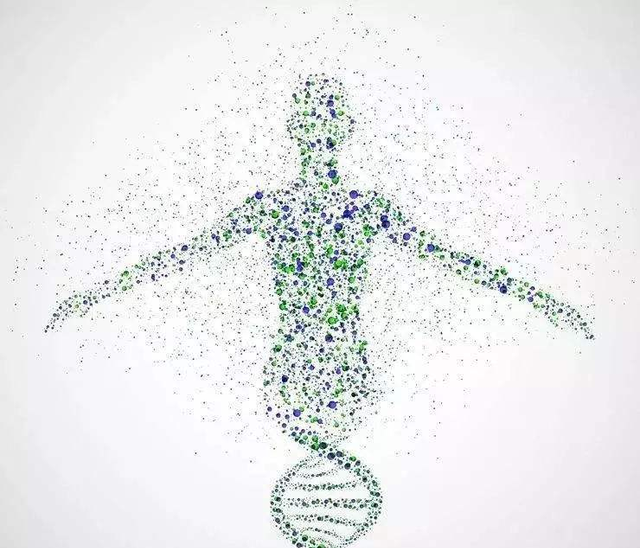 DNA-我们繁衍地爬爬梯