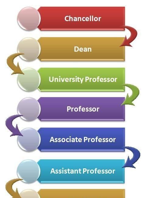 美国大学教授是怎么分级的(美国大学教授等级划分)图1