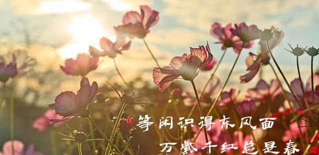 「学讲话 品典故」等闲识得东风面，万紫千红总是春