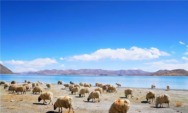 自驾西藏山南，不走寻常旅游路线，遇见人间仙境羊湖最真实的模样