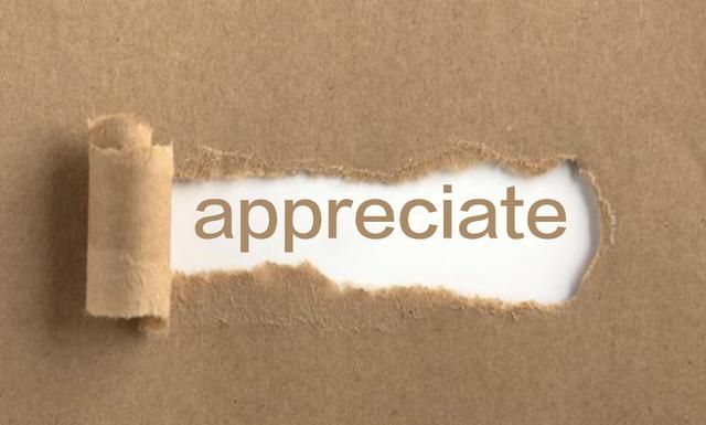英语语法详解：我们来例句分析使用“appreciate”的4点习惯