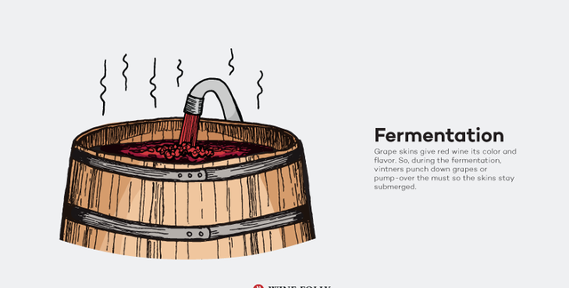 红葡萄酒酿造过程详解！纯干货