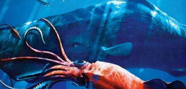 深海1000米水下的“北海巨妖”，能和抹香鲸掰手腕，是什么生物？