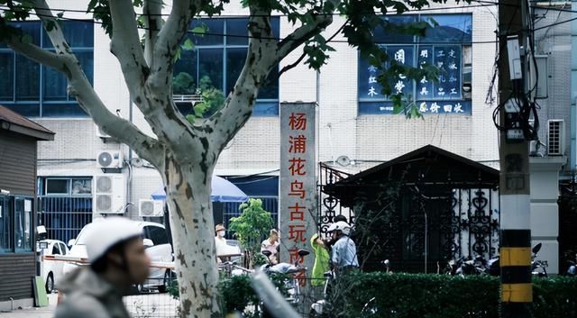 淘宝靠“缘分”，上海市区最后一个跳蚤市场就藏在杨浦公园里！