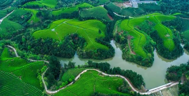 中国特色美食县TOP100！森林覆盖率74%，想沉溺在1700年历史“浙中绿岛”的江南柔情里…