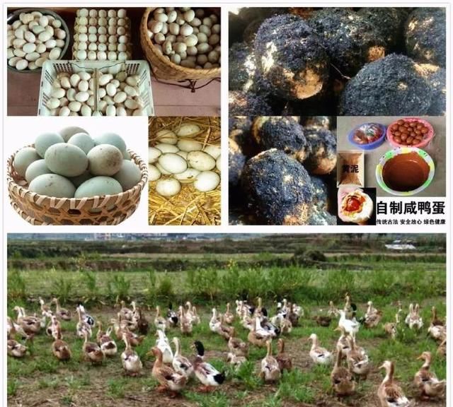 #信息化助农行动# 郴州汝城爱心助农产品名单发布