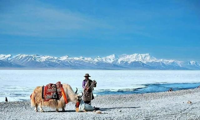 一篇文章告诉你，到西藏哪里看中国最美的雪景！