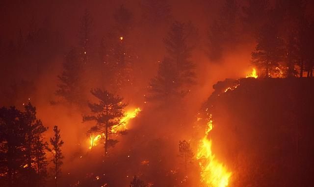 一地遭遇森林火灾复燃：面对自然灾害，人人都应有“应急预案”