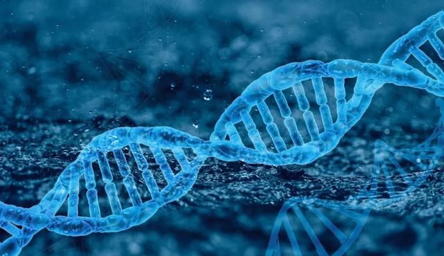 “基因”（Gene）一词是怎么来的？| 商周专栏