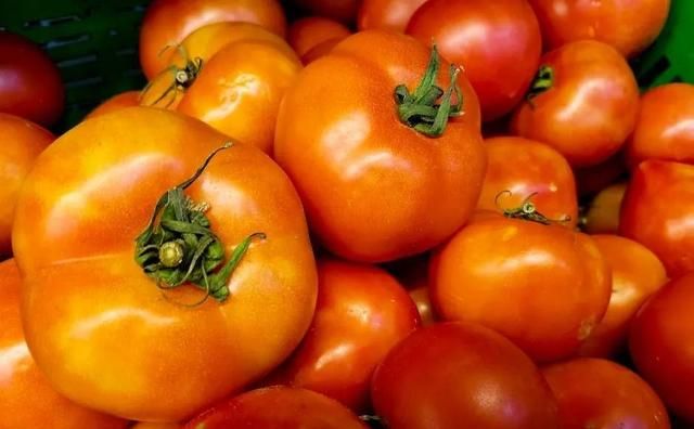 为何现在的西红柿都硬邦邦的，放几个星期都不坏？口感不沙也不甜？