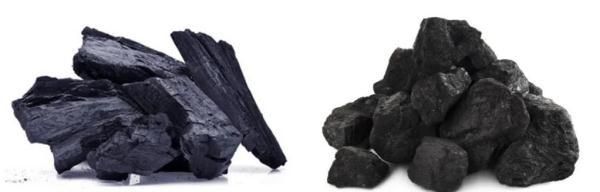 煤和炭的区别是什么？院士解析→