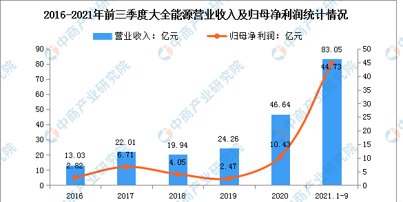 2022年中国工业硅行业市场前景及投资研究预测报告