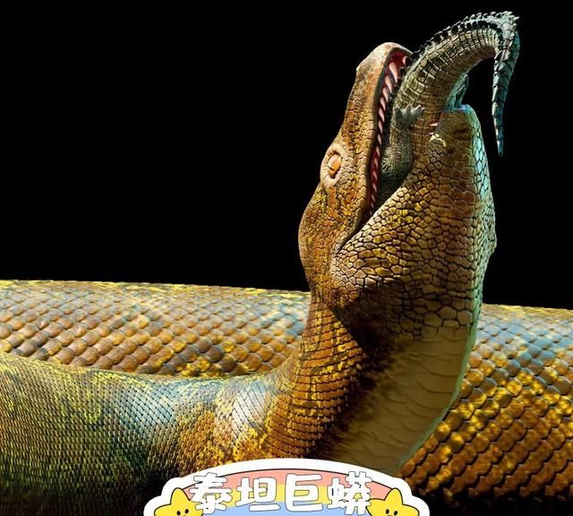 地球上迄今已知最大的蛇有多大呢