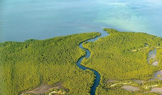 世界上面积最大的“河口三角洲”在哪里？它是如何形成的？