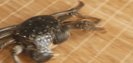 大闸蟹蟹膏变黑了，那还能吃吗？