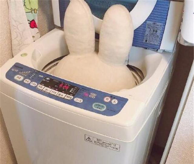 霓虹讨论“大型玩偶无法洗衣机洗”苦恼，中国妈妈：有那么难么？