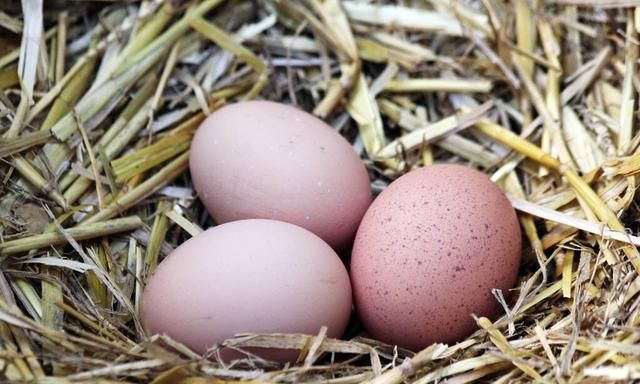 鸡蛋、鸭蛋、鹅蛋和鹌鹑蛋，谁的营养价值高？提醒：少吃这2种蛋