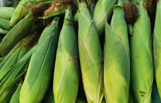 新鲜玉米的5种储存方法，放半年都不会坏，味道依然新鲜