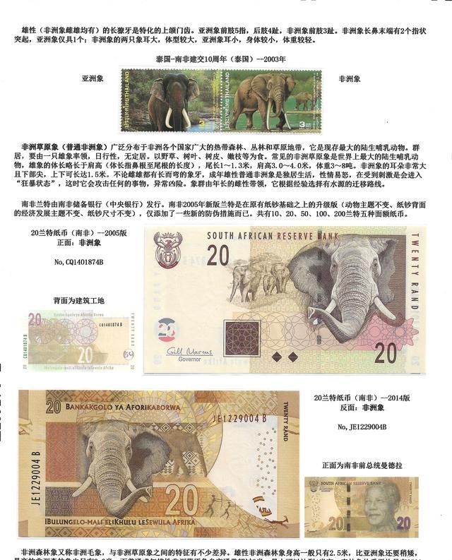 象(Elephas maximus)