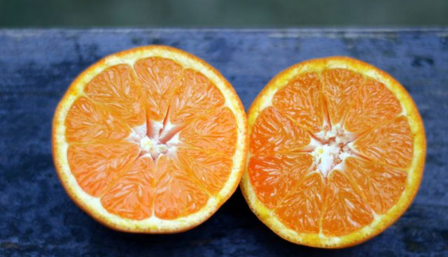 买橙子看一个明显位置，放心挑到肉多香甜的橙子，分享技巧快来看