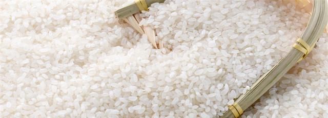 米过了保质期还能吃吗？大米过期了还能吃的吗？