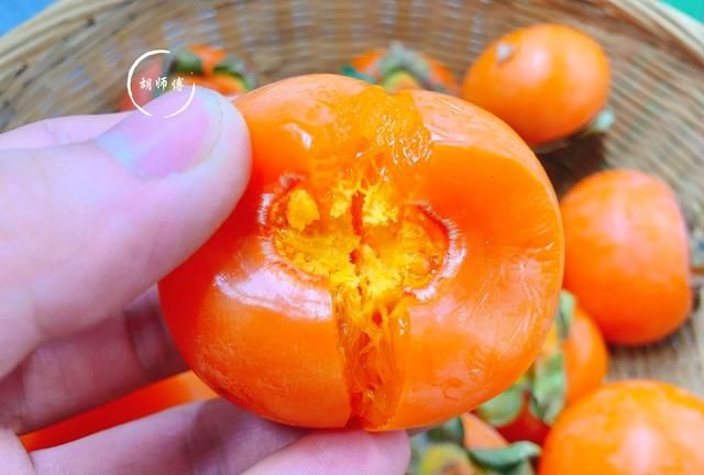 老果农教您快速催熟柿子的方法，学会这2妙招，2天就能吃，实用