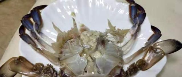 传言海水被污染梭子蟹里有大量“寄生虫”？别担心是常见附生生物，吃了没事